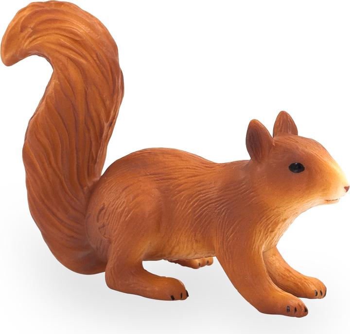 Produktbild Animal Planet Eichhörnchen