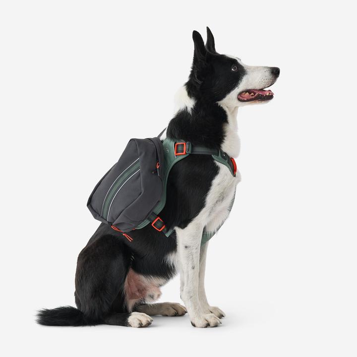 Image du produit Caperlan Harnais de randonnée pour chien (S, Chien)