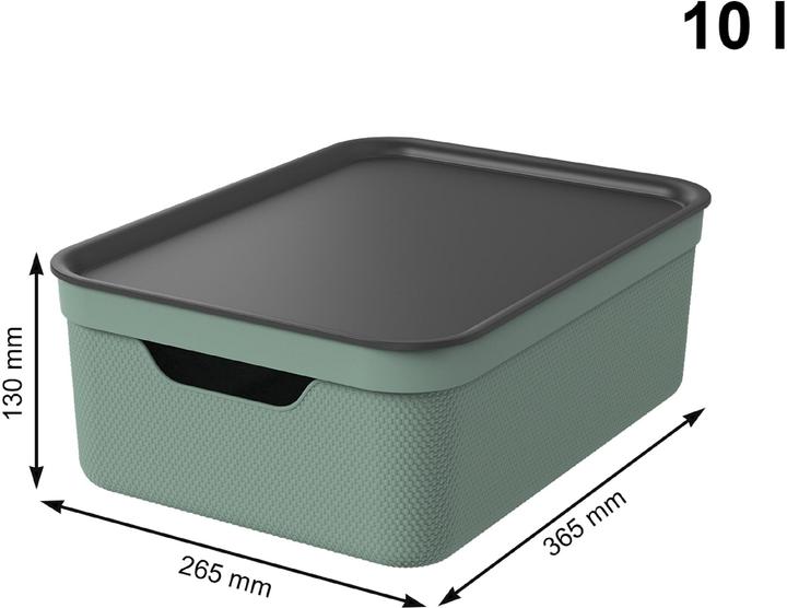 Image du produit Rotho Jive (37.5 x 28 x 23.5 cm, 10 l)