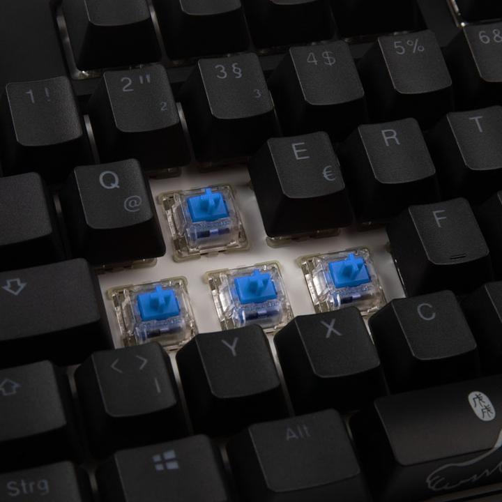Actual product image Ducky ONE 2 TKL PBT Gaming Keyboard, MX-Blue, RGB LED (DE, Cable)