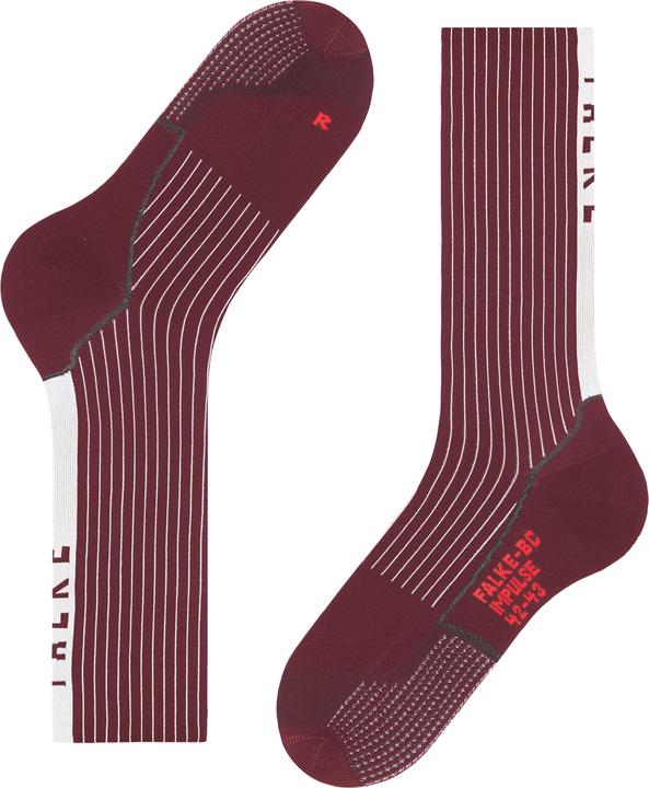 Produktbild Falke BC Impulse (42, 43)