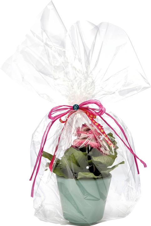Produktbild Folia Geschenkfolie Rolle glasklar (Geschenkfolie, 1 x)