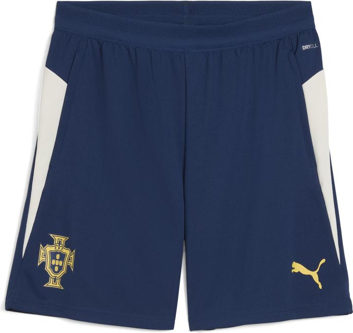 Puma FPF Training Shorts