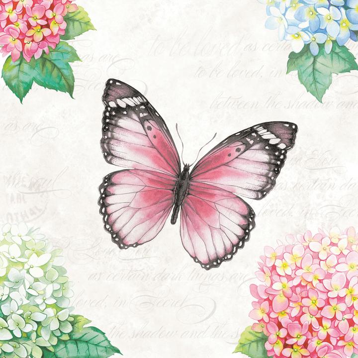 Immagine prodotto Ambiente Rosa farfalla (20 x, 33 x 33 cm)
