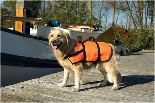 Produktbild Beeztees Sicherheits-Schwimmweste (XS, Hundeschwimmweste)