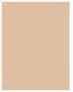 Image du produit Estée Lauder Pure Color Envy (Light Matte)