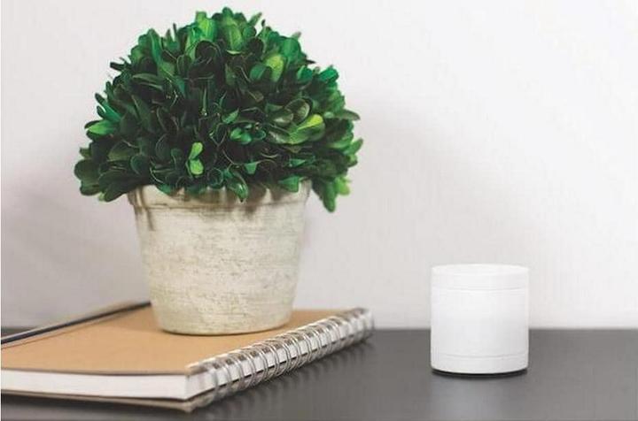 Actual product image somfy Motion detector for security system (7 m)