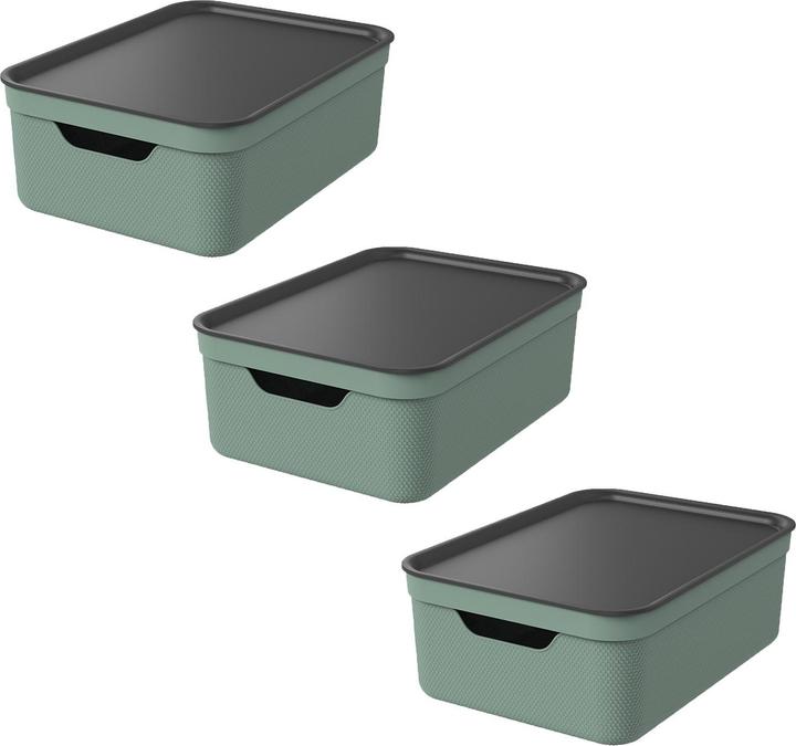 Image du produit Rotho Jive (37.5 x 28 x 23.5 cm, 10 l)