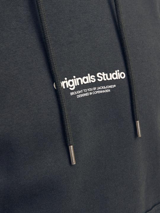 Produktbild Jack & Jones Gedruckt Kapuzenpullover Kapuzenpullover (L)