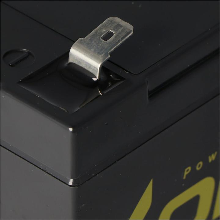 Actual product image AccuCell Steripower battery disinfector (12V)