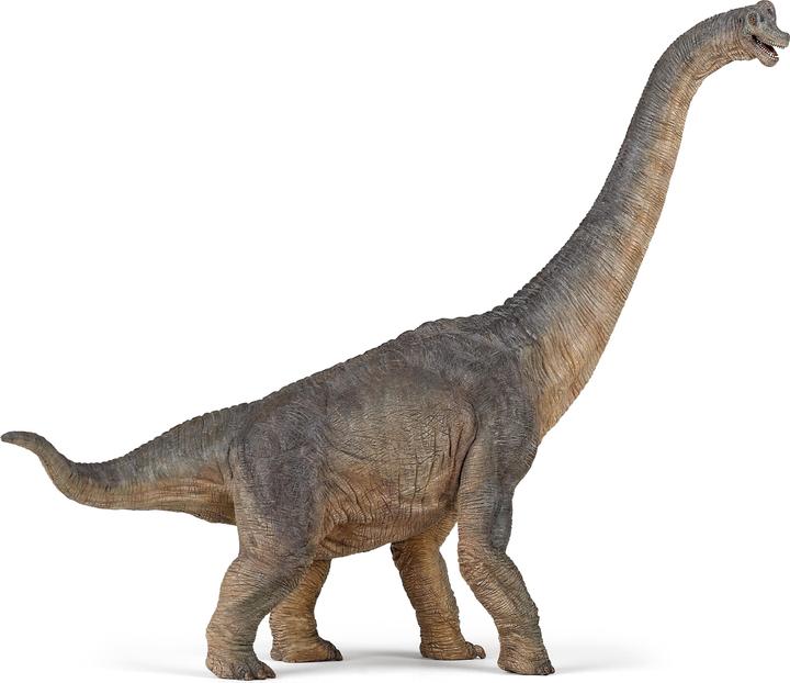 Actual product image Papo Brachiosaurus