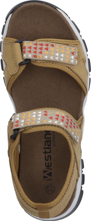 Actual product image Westland 25801-TE508 (36)