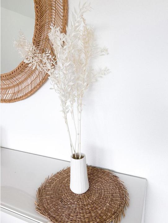 Image du produit Soli Collection Fleurs séchées Ruscus 70-75 cm, blanc (Fleurs séchées)