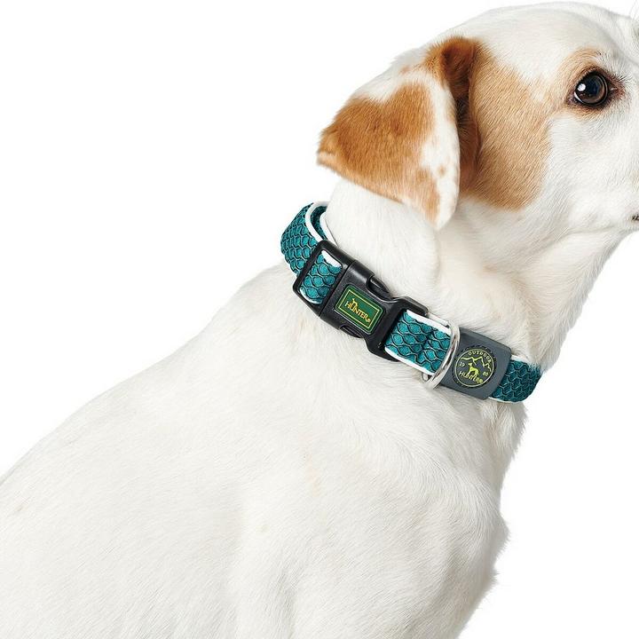 Actual product image Hunter Dog collar Hilo Vario Basic (S, M, Dog, General)