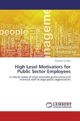 Produktbild High Level Motivators for Public Sector Employees (Eunice H. C. Mak, 2012)