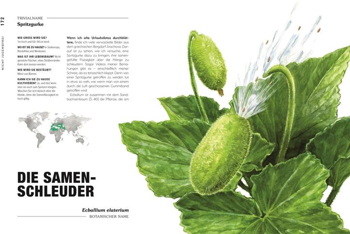 Image du produit Kuriose Pflanzen (Allemand, Michael Perry, Reinhard Ferstl, Éditeur DK, 2023)