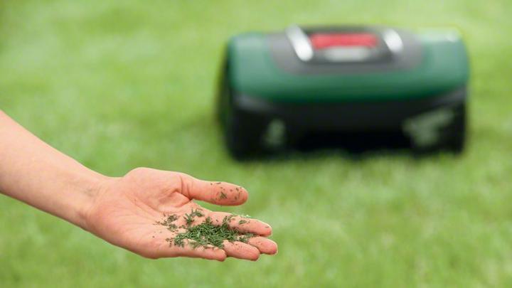 Actual product image Bosch Home & Garden I need S 500 (500 m²)