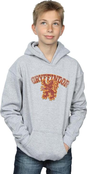 Immagine prodotto Gryffindor Sport Emblem Felpa con Cappuccio Ragazzi (140, 146)