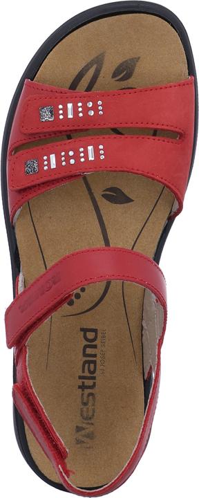 Actual product image Westland 16786-96 (40)