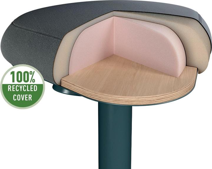 Actual product image Leitz Ergo Active