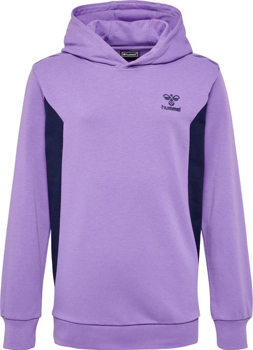 Immagine prodotto hummel Hmlstaltic Cotton Hoodie Kids (176)