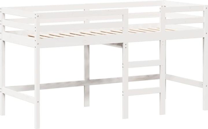 Image du produit VidaXL Lit mezzanine avec échelle et toit (80 x 200 cm)