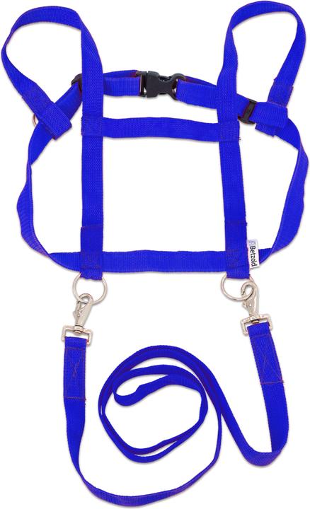 Immagine prodotto Betzold Sport Imbracatura da cavallo per bambini