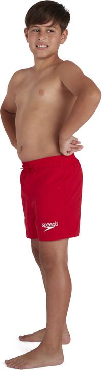 Actual product image Speedo Essential (L)
