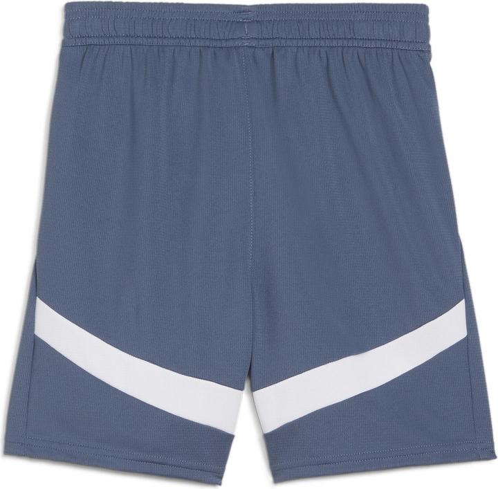 Actual product image Puma SFV Shorts Replica Jr (152)