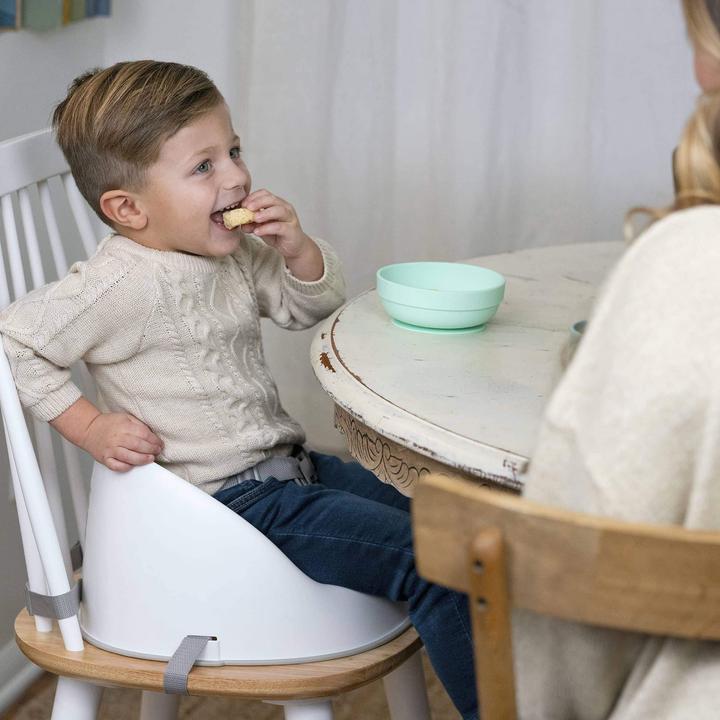 Actual product image Ingenuity Simplicity Seat™ Easy-Clean Booster (High chair booster seat)