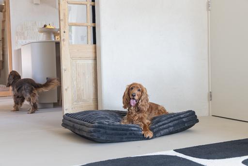 Actual product image Designed by Lotte Reza reclining cushion (Dog)