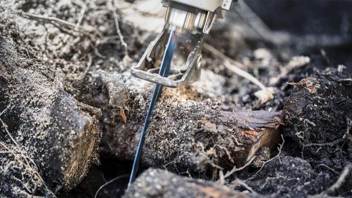 Productafbeelding Bosch Professional Zubehör Expert 'Tough Wood' S 1142 KHM reciprozaagblad, 1 stuk