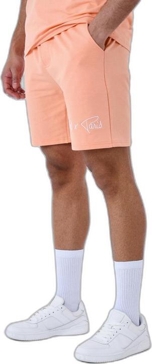 Actual product image Project X Paris basic shorts with embroidered logo (XL)