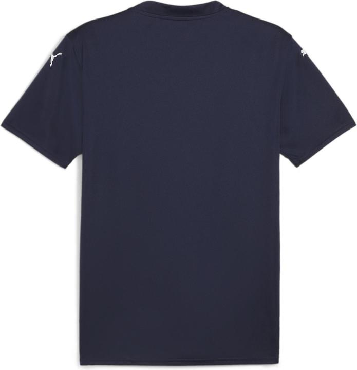 Actual product image Puma teamGLORY Jersey (L)