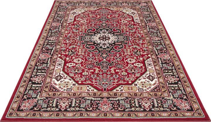 Produktbild Nouristan Skazar Isfahan (290 x 200 cm)