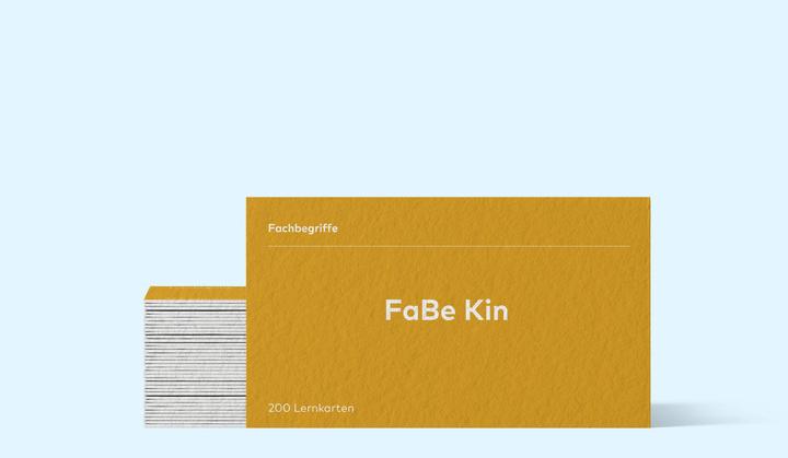 Actual product image Lernkarten FaBe Fachrichtung Kinder (inkl. digitaler Lernkarten) (German, 2025)