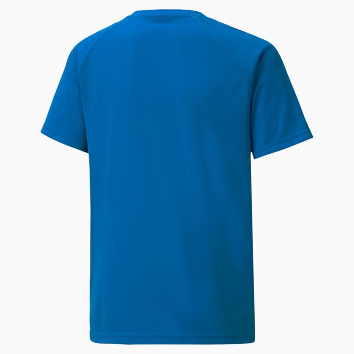 Actual product image Puma teamLIGA Striped Jersey Jr-704927 (128)