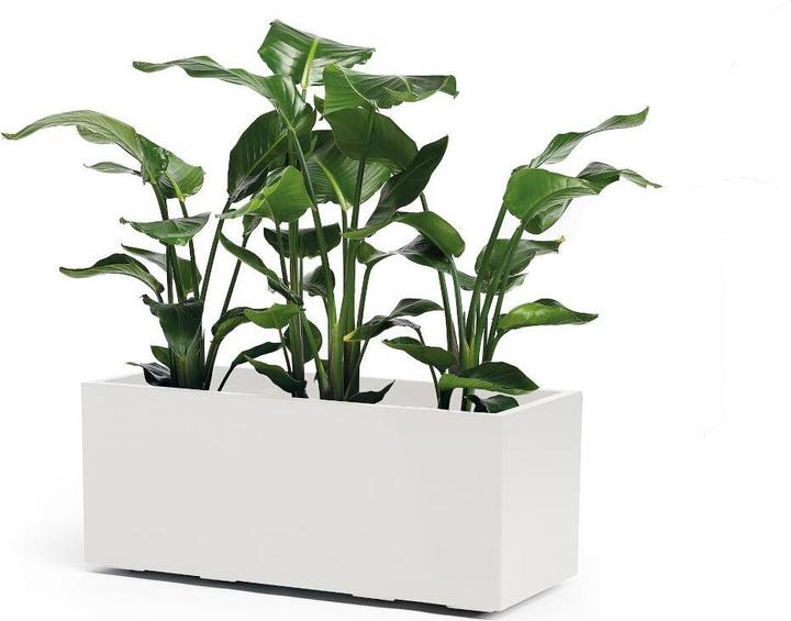 Immagine prodotto Euro3plast Kebe (39.50 cm)