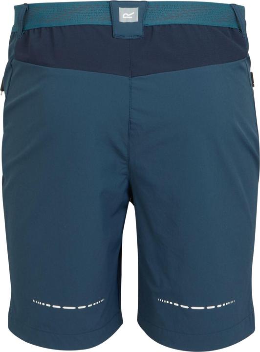 Actual product image Regatta Mens Mountain II Shorts (46 D)
