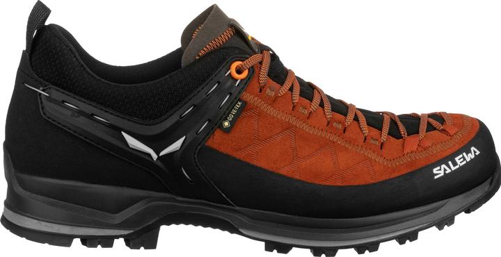 Actual product image Salewa Mountain Trainer 2 GORE-TEX® shoes (40.5)