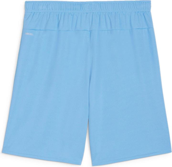 Actual product image Puma teamGOAL shorts (3XL)