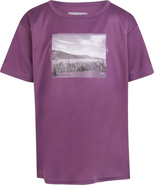 Abendlicht Violett