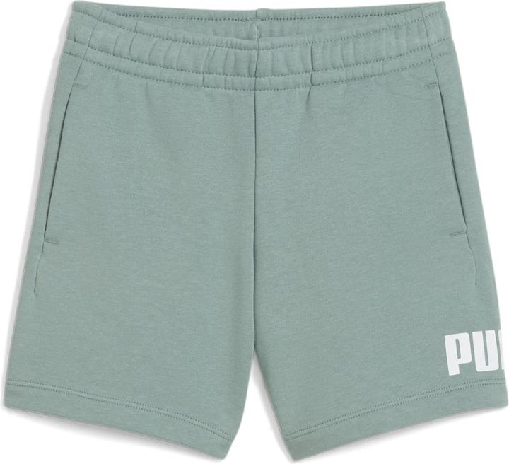 Actual product image Puma ESS No. 1 Logo Shorts TR PS (116)