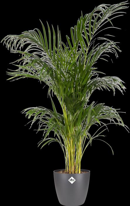 Actual product image Elho Brussels (22.30 cm)