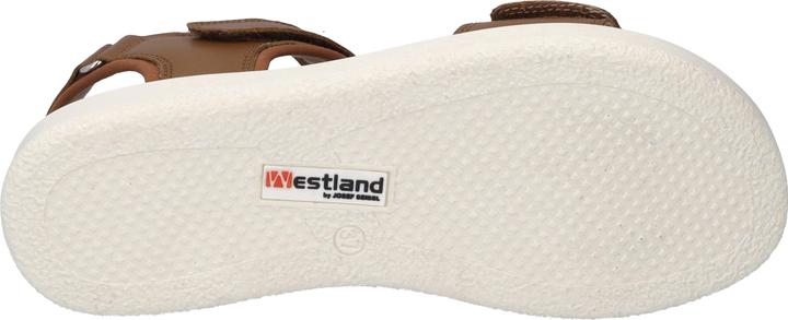 Actual product image Westland 25401-410 (40)