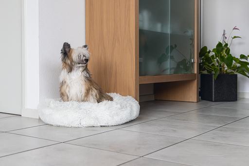 Produktbild Karlie Agnes (Hund)