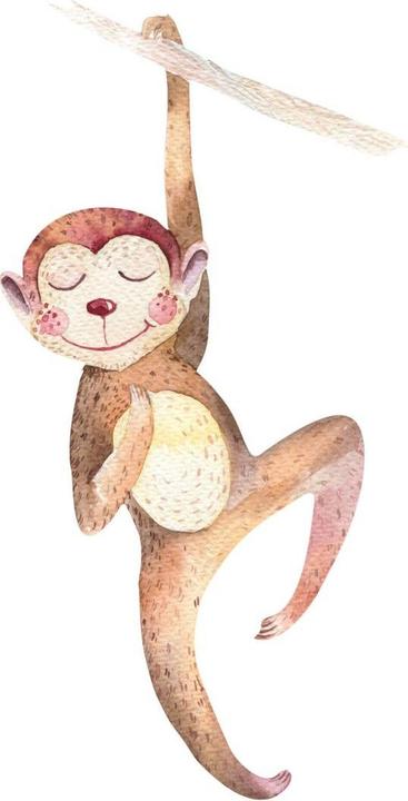 Image du produit Trenddeko Singe suspendu (61 x 120 cm)