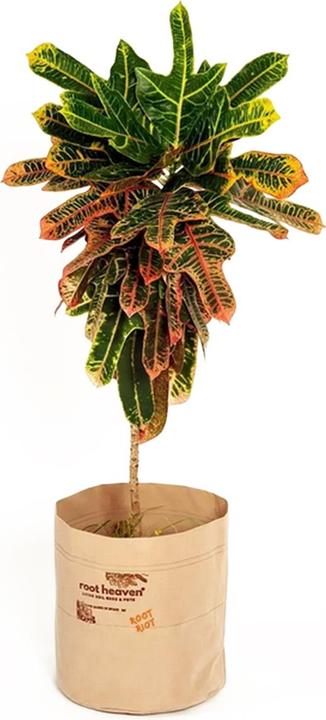 Produktbild Root Riot Root Heaven Pot 200L