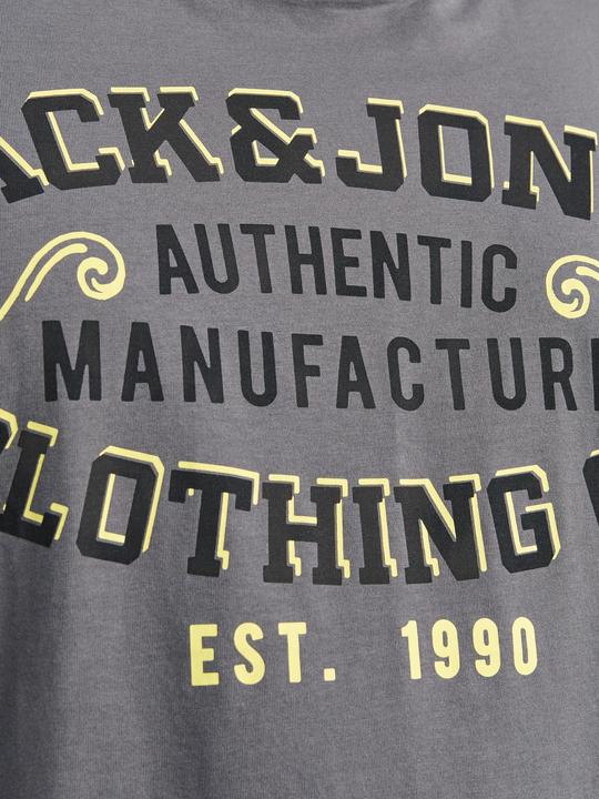 Produktbild Jack & Jones Jjelogo Tee Ss O-Neck 2 Col Aw24 S Pls (8XL)
