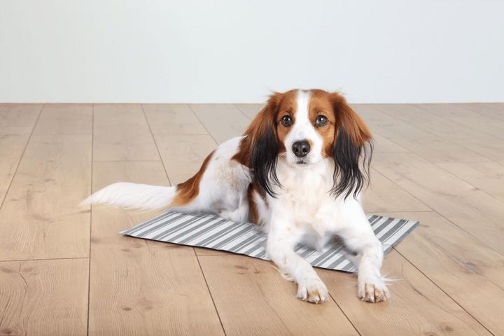 Immagine prodotto Trixie Tappetino di raffreddamento (Cane)